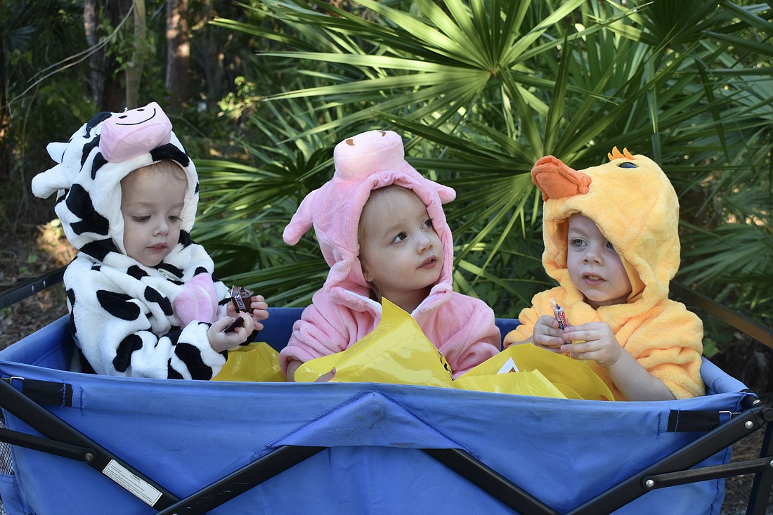 Triplets Amelia, Eloise and Elijah Dennis, 2, enjoyed riding in a wagon along the trail.