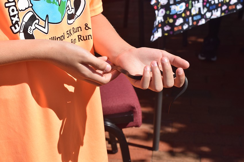 Aidan Dwyer's snake Marv