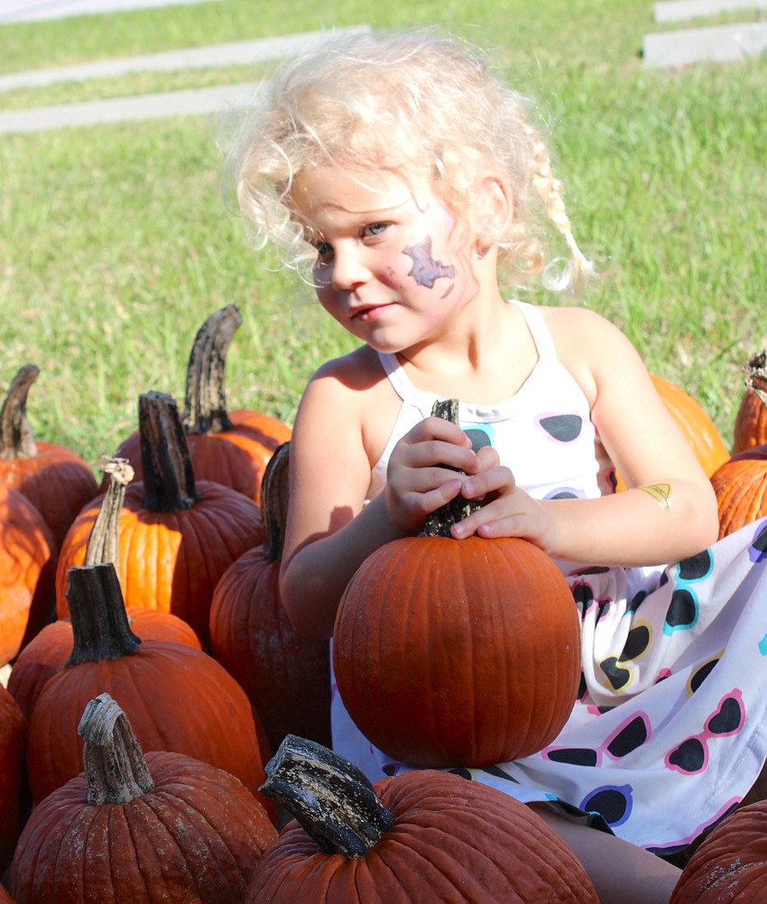 Temple Terrace 3-year-old Thea Stinson picks the perfect pumpkin during Peace Presbyterian Church's annual Pumpkin Patch event in Lakewood Ranch on Oct. 21.