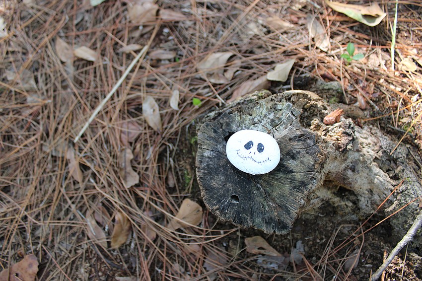 Painting rocks can be found all along the path. Children are urged to take one home and leave any others.