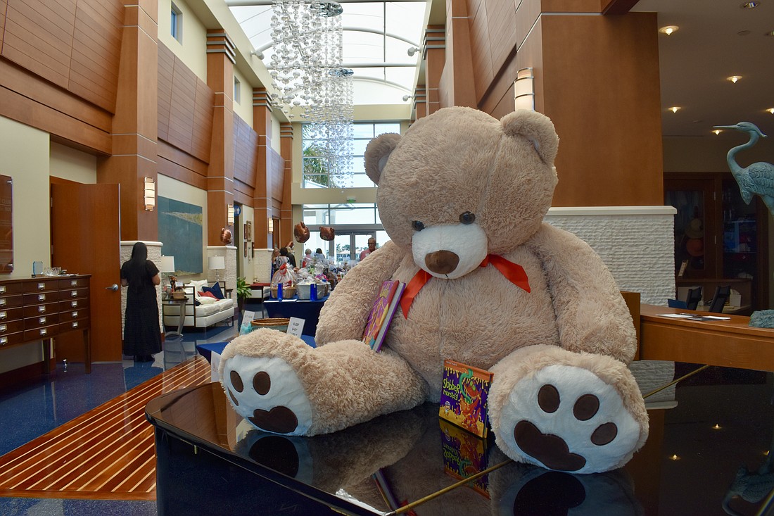 Baby Basics of Sarasota County provides diapers, wipes and books to parents in need.