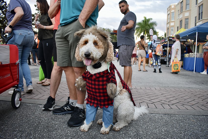 Goldendoodle Chelsea is a not-so-scary werewolf.