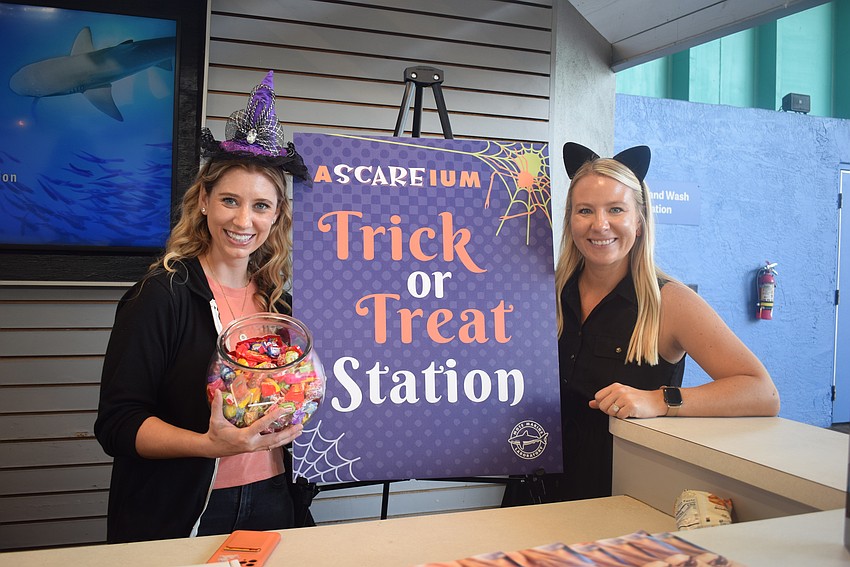 Betsy Pokohl and Veronica Perrelli