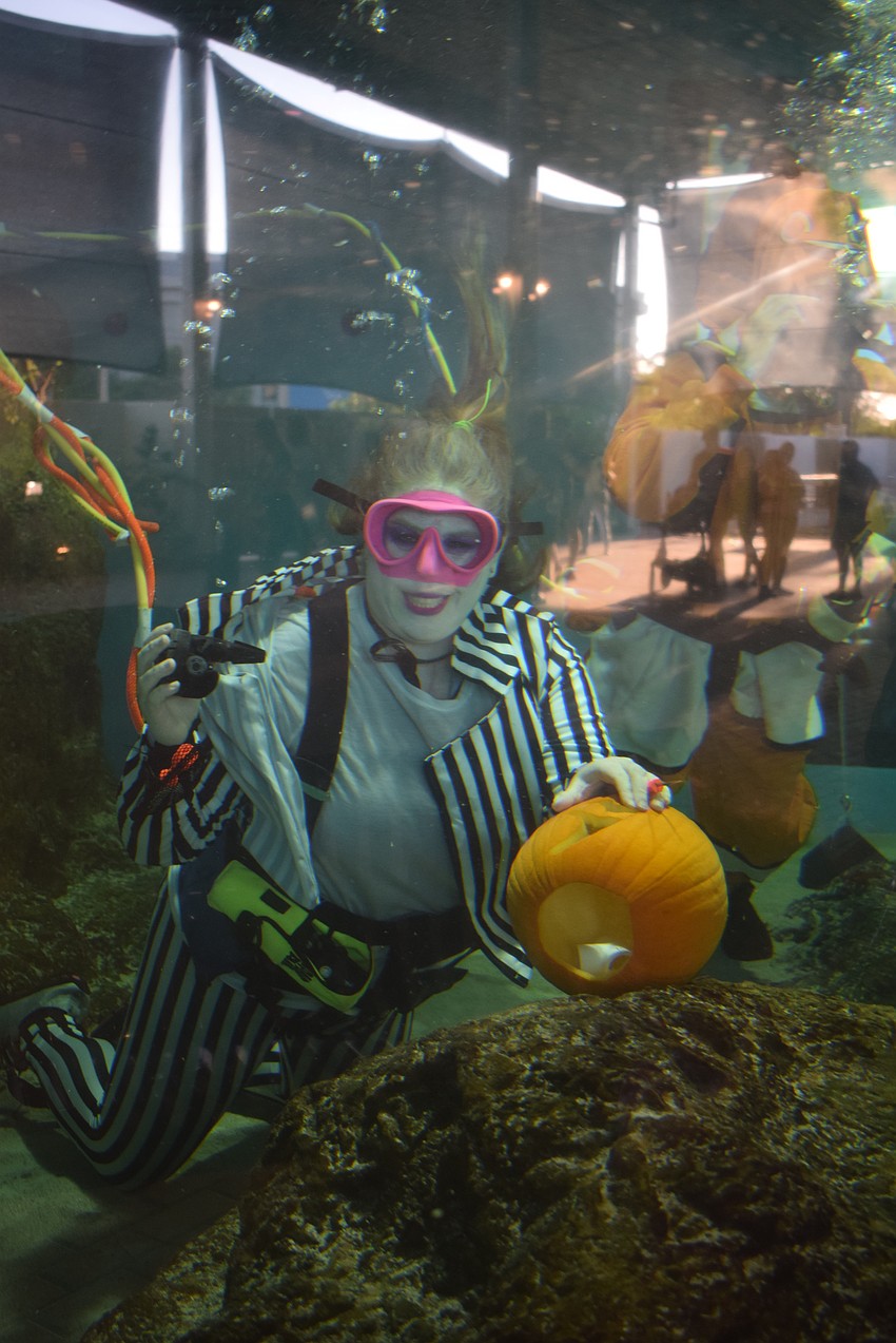 Sara Chennault carving pumpkins in the Bonnethead shark tank