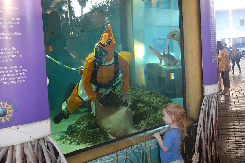 Ed Doucette in the Bonnethead shark tank with Jasper McDonald