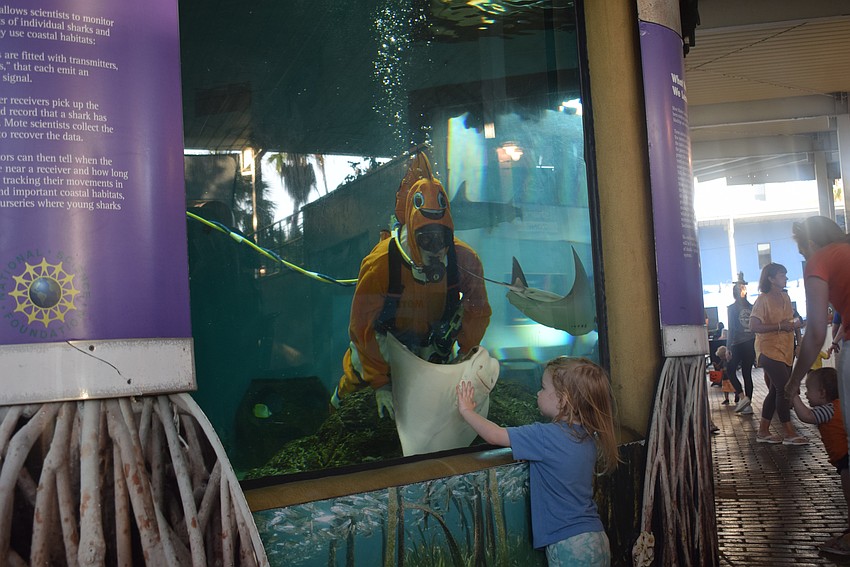Ed Doucette in the Bonnethead Shark tank with Jasper McDonald
