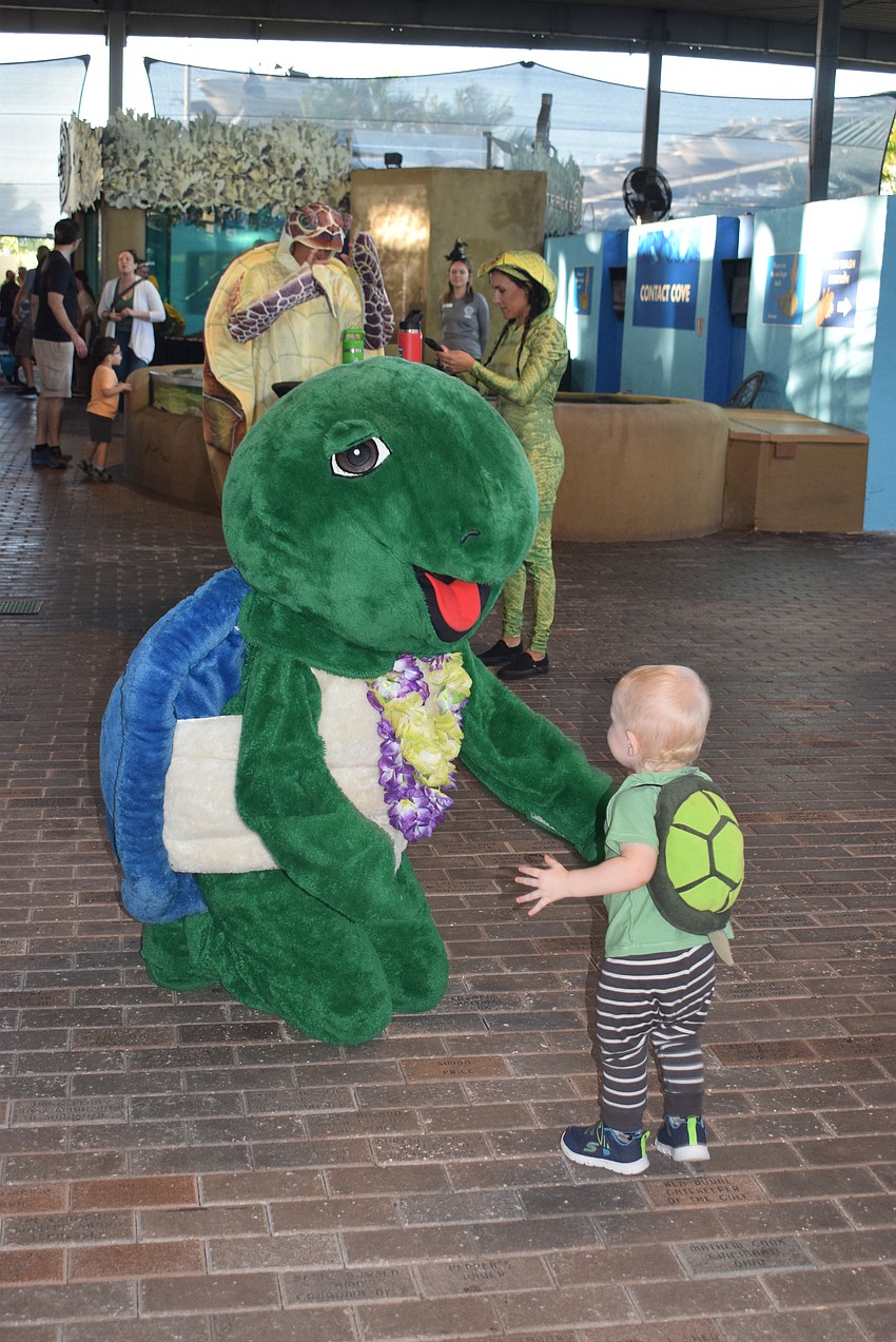Shelley the sea turtle with Kai Crabtree