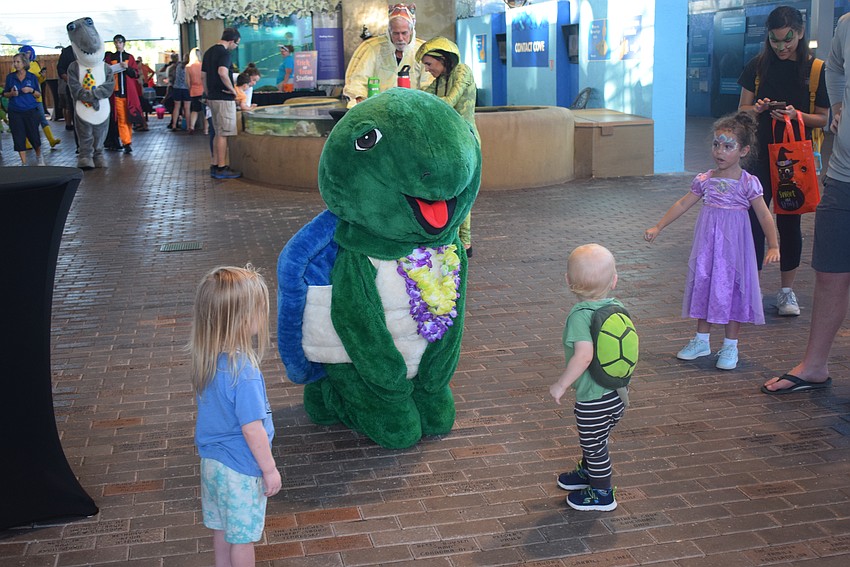 Shelley the sea turtle with Jasper McDonald, Kai Crabtree and Marina Shaffer