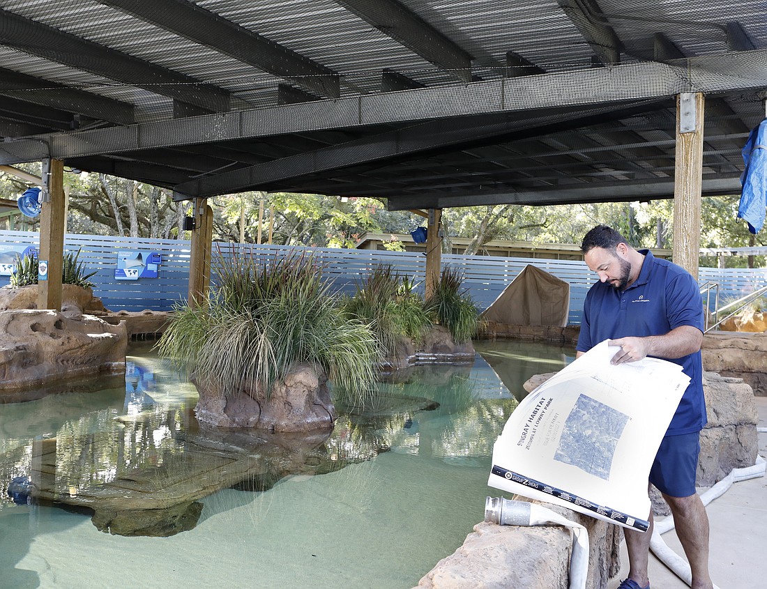 Stingray Shores of ZooTampa at Lowry Park will allow guests to get into the water and feed stingrays.