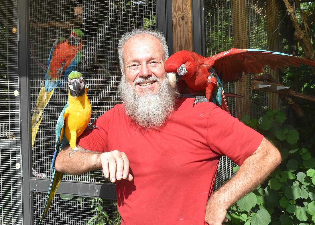 Greg Para cares for 72 parrots of all different varieties through his nonprofit, the Sarasota Parrot Conservatory.
