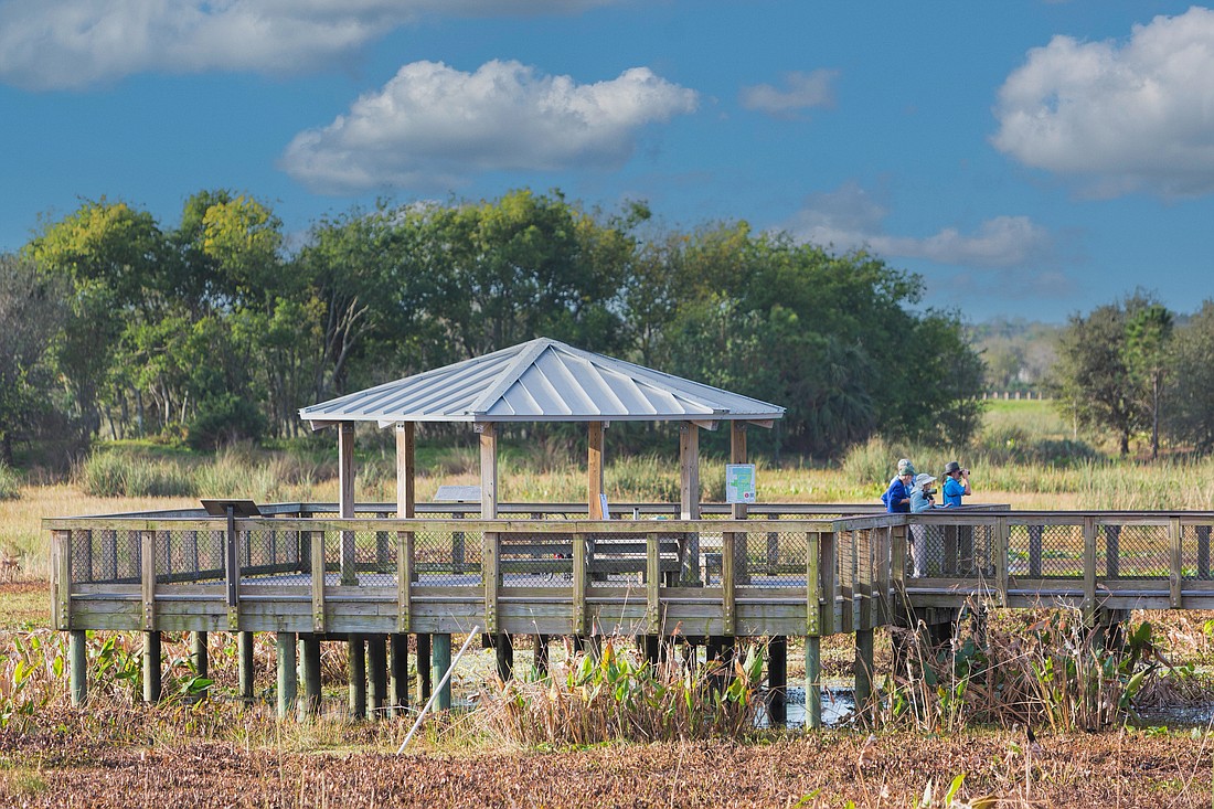 Celery Fields is a mecca for birders and other nature lovers.