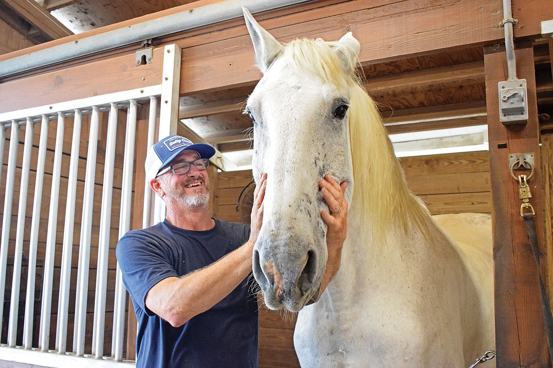 Mark Hiser believes in the healing power of horses.