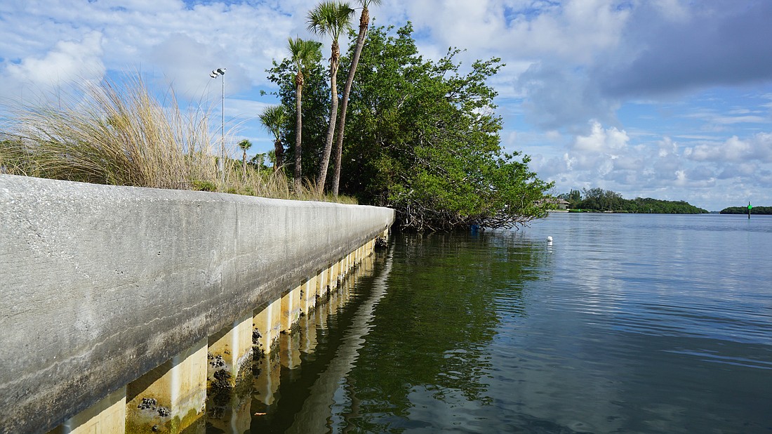 Existing sea wall surfaces at Bayfront Park will be reenvisioned with Sarasota Bay Estuary Program's new project that addresses habitat loss and sea level rise.