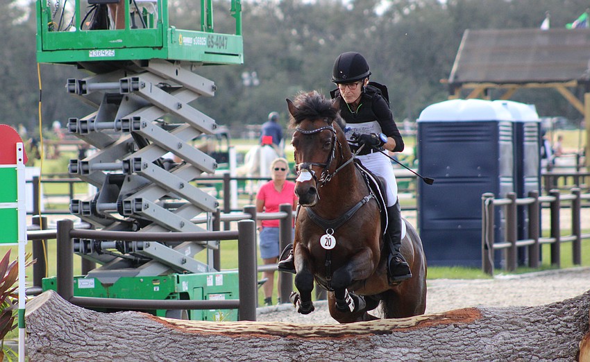 Georgia's Donna Miller is the picture of concentration as she guides Coud'Poker over a jump into the water on Saturday during the cross country event.