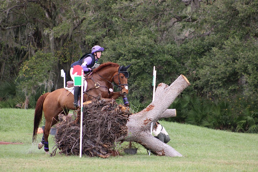 Quality Explosion explodes over a fallen tree jump with Janelle Fleming riding at TerraNova on Saturday.