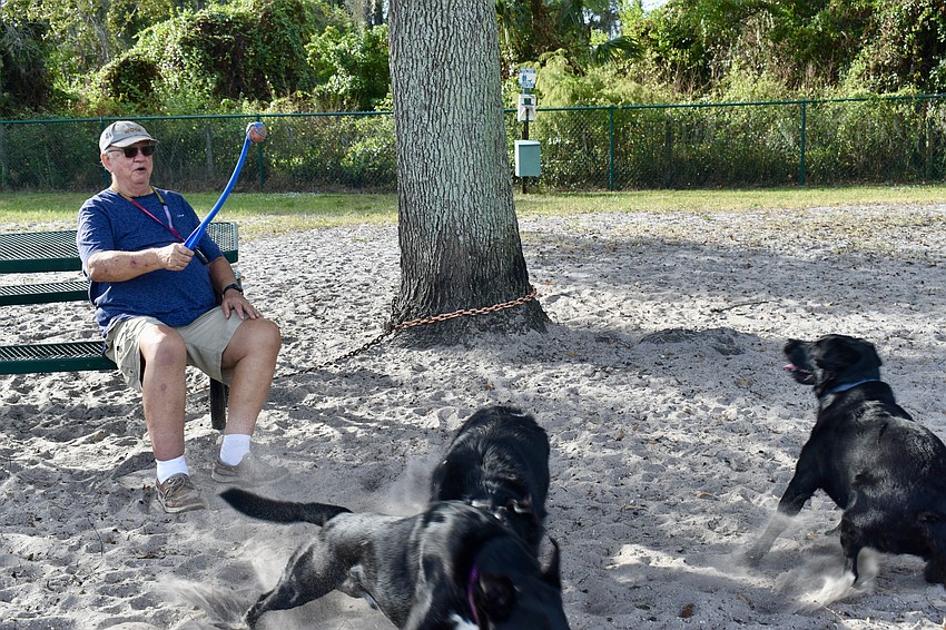 The dogs are off before Bill Musgrave can throw the ball.