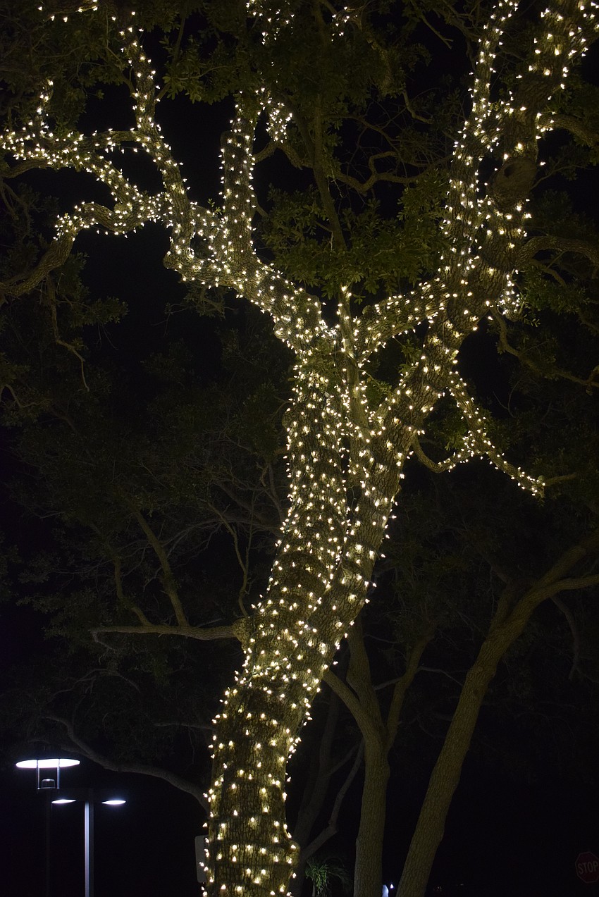 Light Up Longboat on Nov. 25