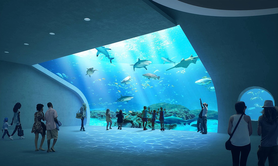 One of the acrylic panels that will allow visitors of the Mote SEA to come face-to-face with sea life.