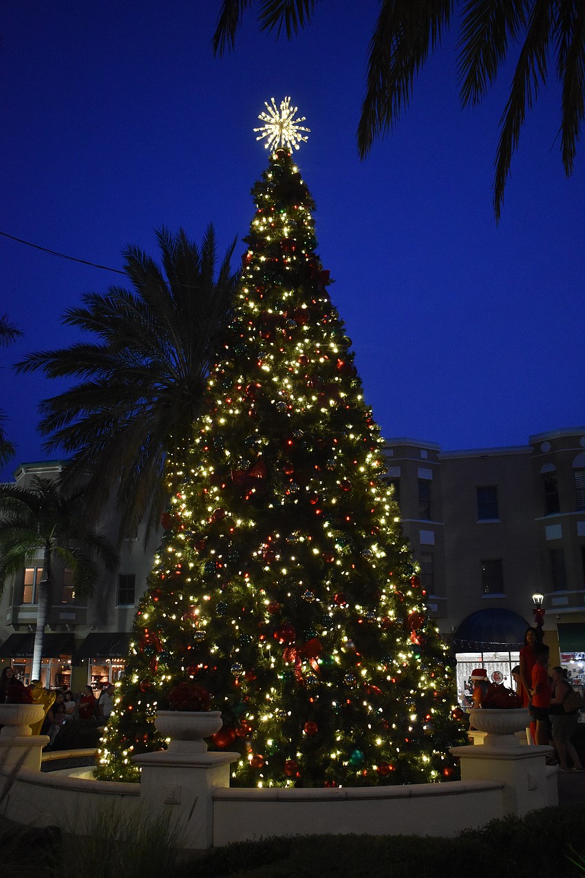 The Christmas tree on Lakewood Ranch Main Street is lit on Dec. 1 during Music on Main.