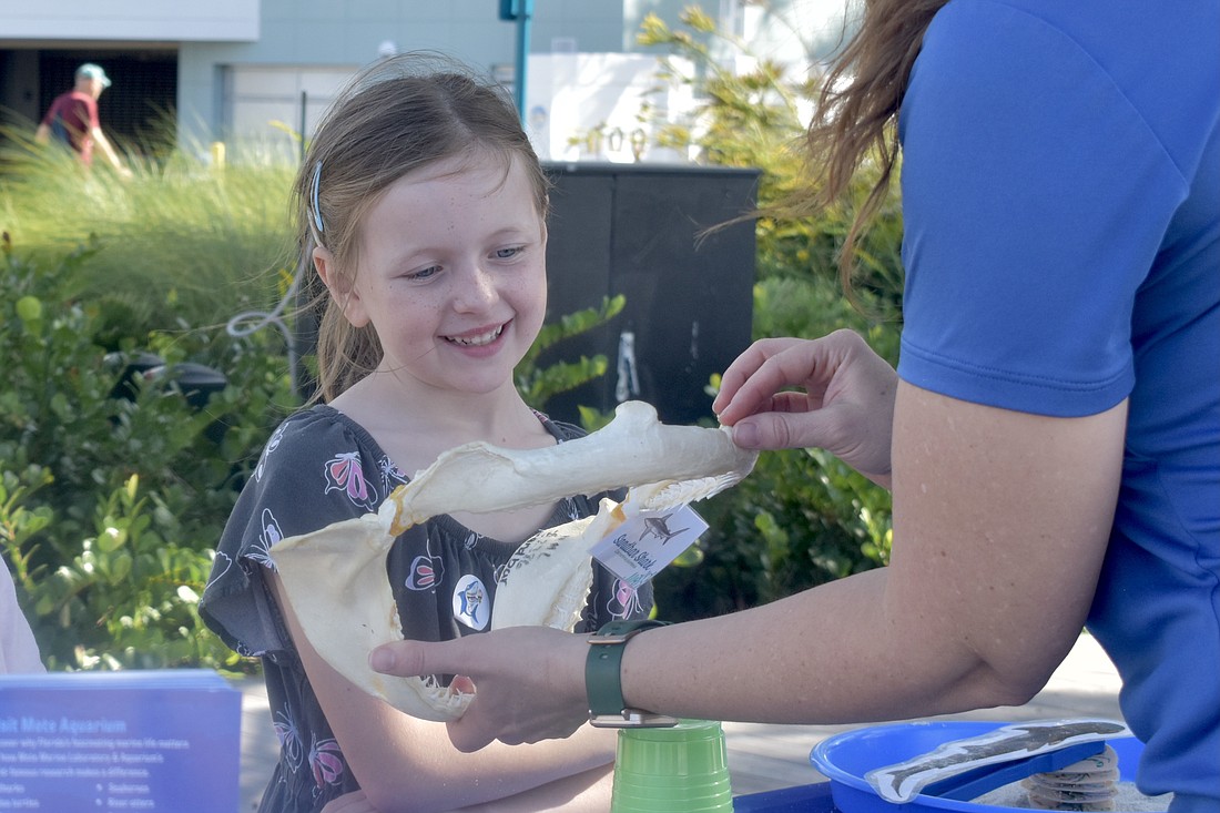 Ava Kane, 7, looks at shark jawbones held by Alison Goldy, manager of community programs at Mote Marine Laboratory & Aquarium at The Bay Park.