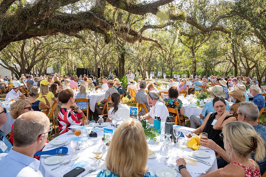 Attendees enjoy an afternoon at the Myakka Headwaters Preserve.