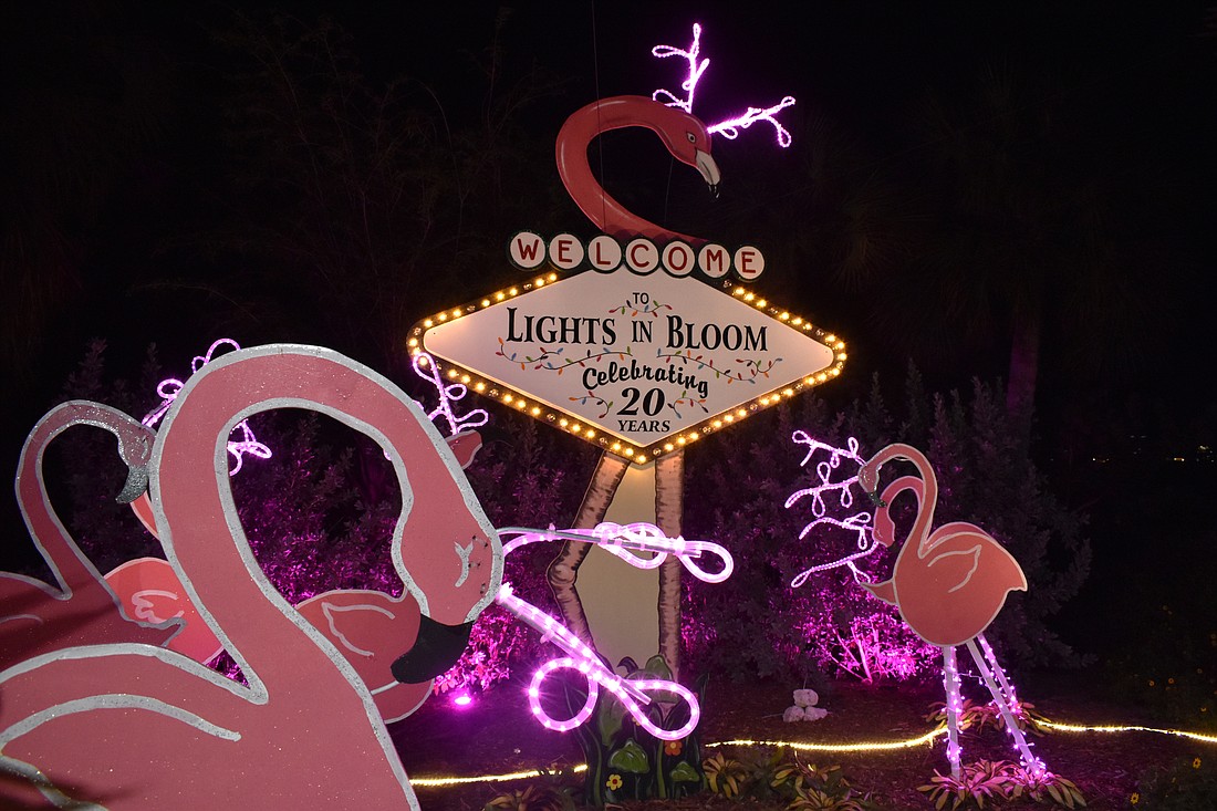 Lights in Bloom is celebrating its 20th anniversary.