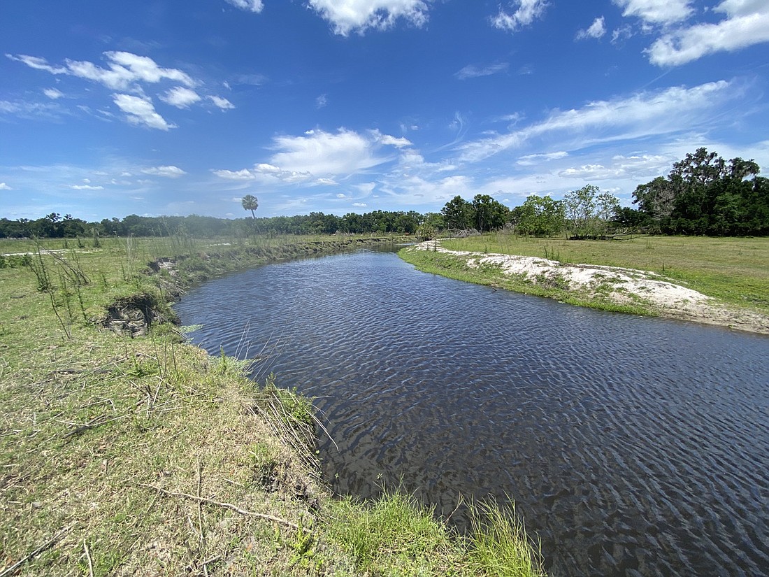 Wilson Ranch Reserve Hydrologic Restoration Project in Polk County.