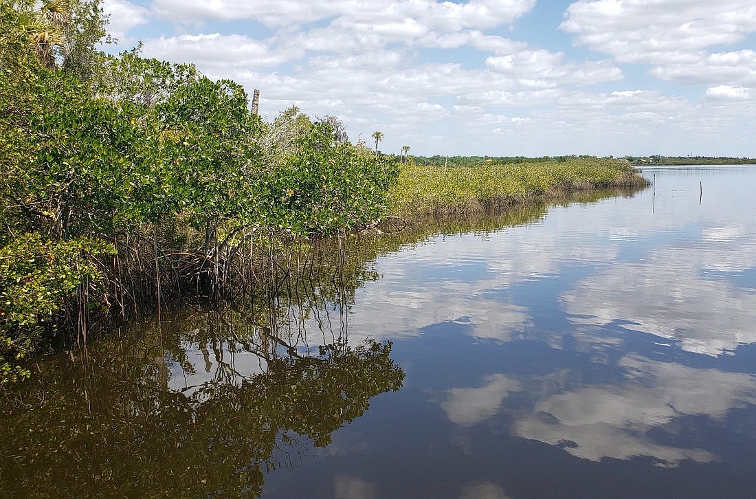 Manatee County bought 68 acres along the Manatee River as part of a preservation effort.
