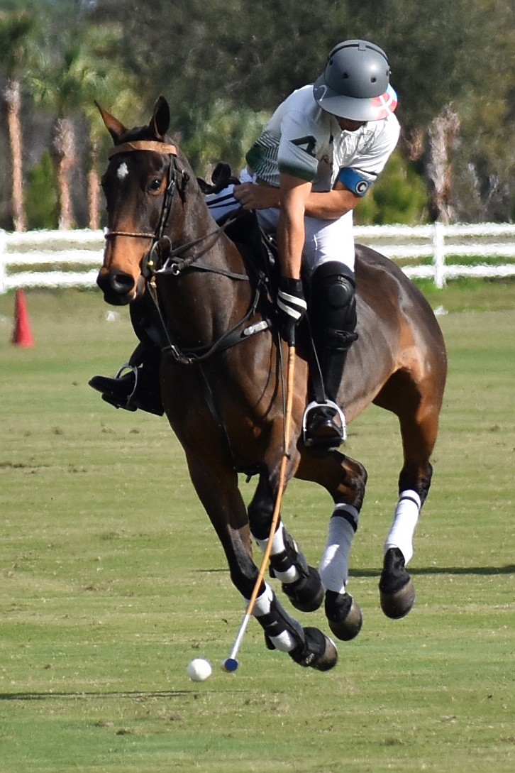 Barefield/Rawhide Creek's Vasco Iriarte takes a shot at full gallop Dec. 31 at the Sarasota Polo Club.
