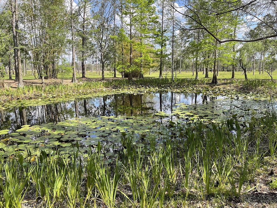 Acquisition of 36.3 acres in the Myakka Conservation Stewardship Area is underway by Manatee County.