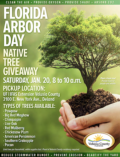 Volusia County will give away native trees on Saturday, Jan. 20. Flyer courtesy of Volusia County Government