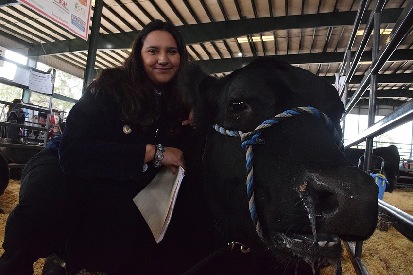 Lakewood Ranch High School junior Kendall Huerta says she's received an amazing amount of support and love from people as she shows her first steer.