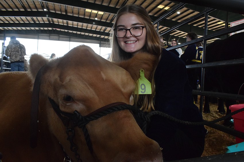 Braden River High School senior Kenleigh Wagner prepares for her final auction at the Manatee County Fair. 