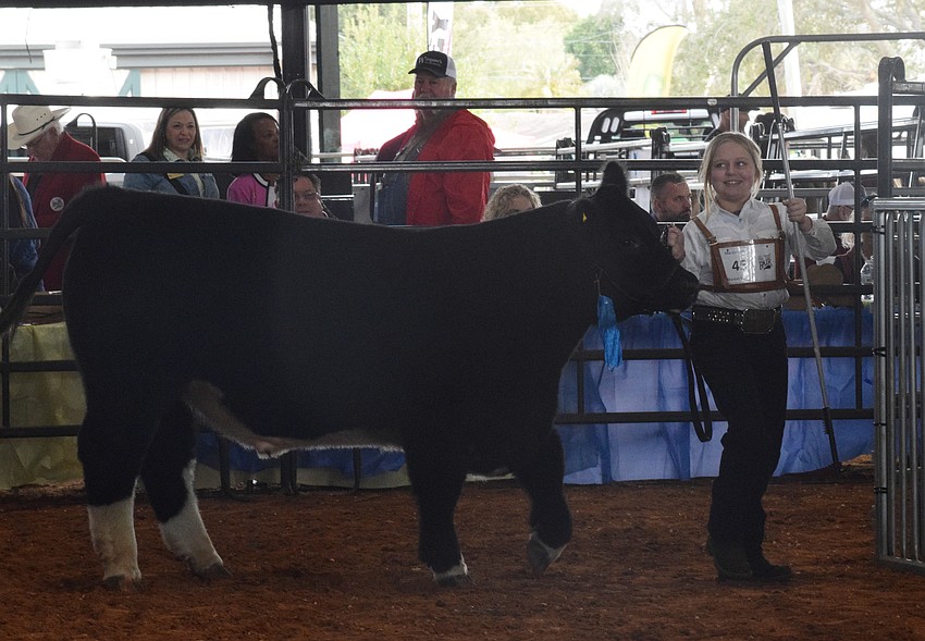 Mia Gorskey with Myakka Agventure is the Junior Steer Showmanship winner.