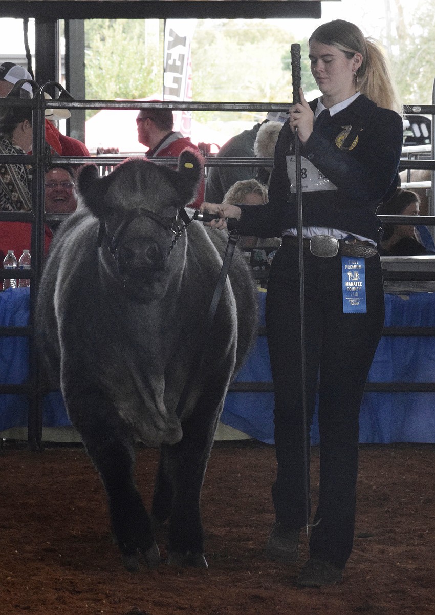 Parrish Community High School's Madison Moore walks her steer around the ring as it is up for auction.