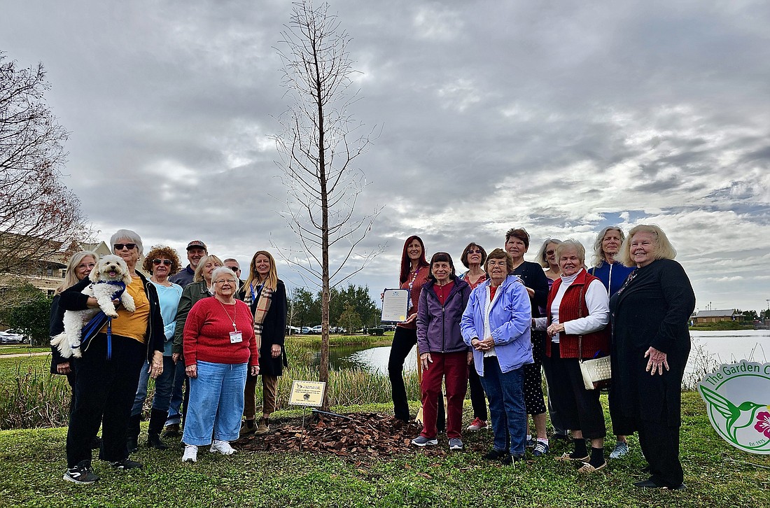 Members of the Garden Club at Palm Coast and city employees pose with the newly planted bald cypress tree at City Hall. Photo by Sierra Williams
