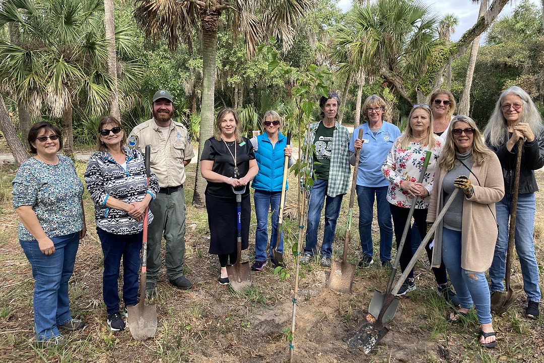 Events calendar: Celebrate Florida Arbor Day with tree plantings in Ormond Beach