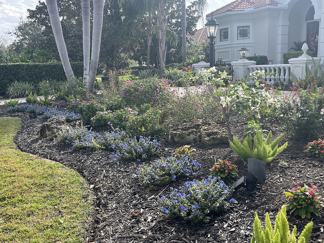 Country Club's Michael Modisett has about 30 plants in the garden area in front of his home. He has at least 90 plants among the three areas around the front of his home in hopes of attracting various butterflies, especially the monarch butterfly.