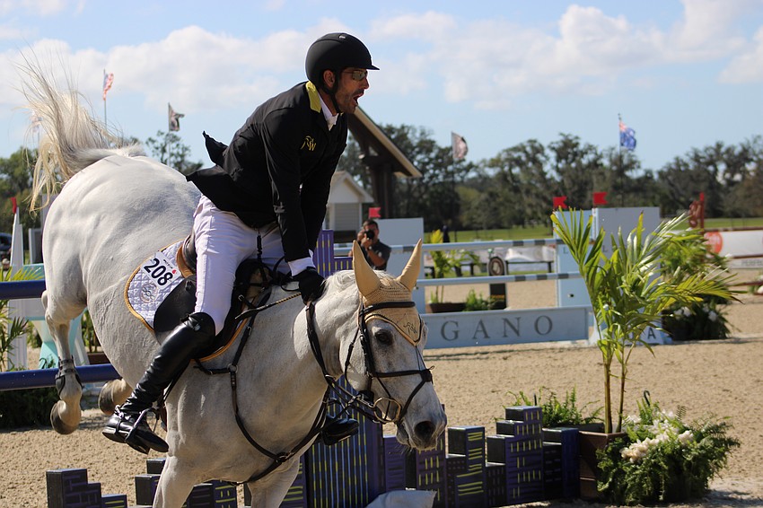 Event winner Rowan Willis and Wellington Grey look like they've fallen out of the sky in completing a jump at TerraNova.