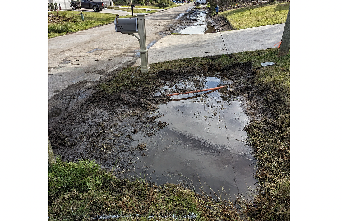 A swale in Palm Coast after the rain. Photo by Brent Woronoff