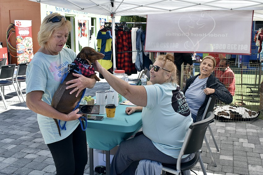 Linda DeMarco introduces Benson, a soon-to-be-adoptable dog with Low Rider Dachshund Rescue of Florida, to Leslie Jenis and Barb Nuti of Rescue Garage.