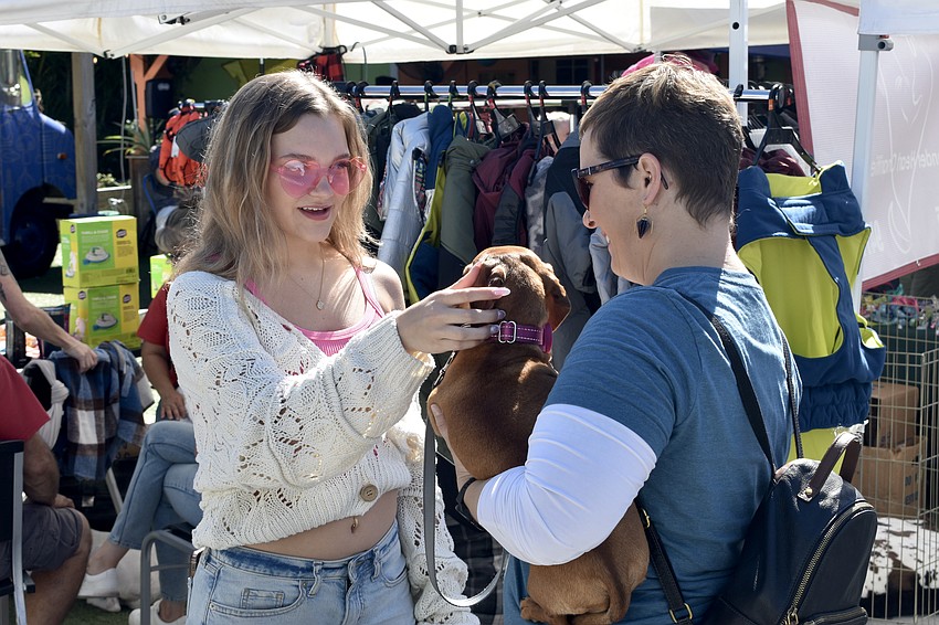 Nycole Harrison pets Penny, a dog Allison Phinney adoped from Low Rider Dachshund Rescue of Florida.