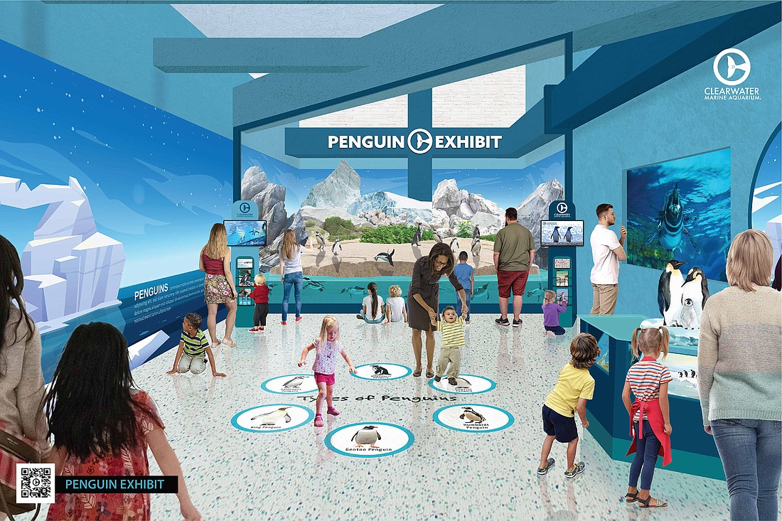 The penguin exhibit is one of several new attractions the Clearwater Marine Aquarium will build as part of a $32 million expansion.
