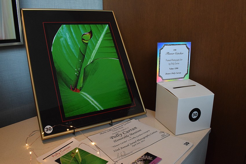 Dozens of items are available for the chance auction.