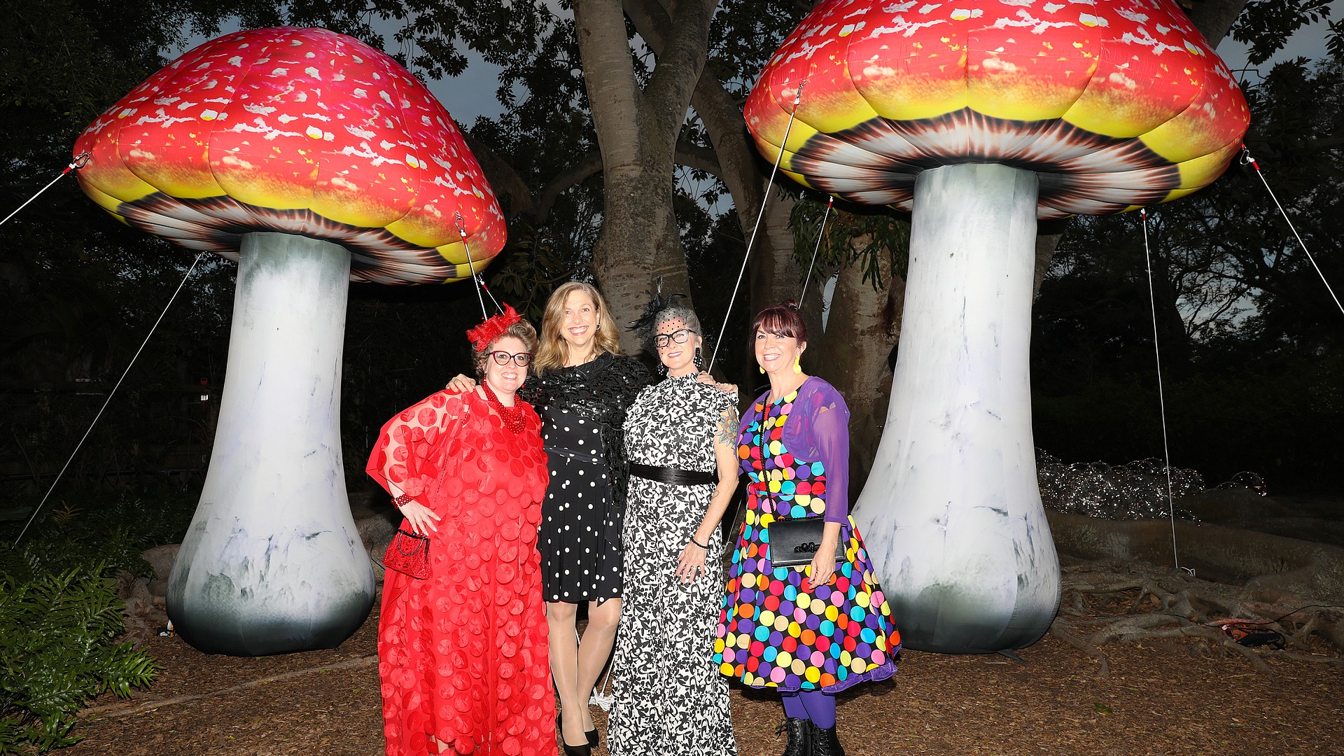 Selby Gardens continues 50th anniversary celebration at Orchid Ball ...