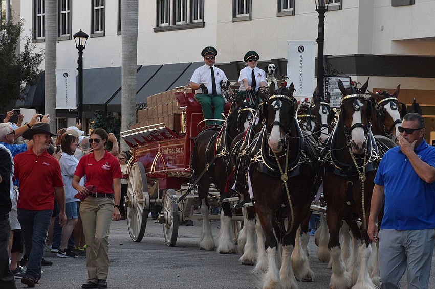 The Clydesdale team went from six horses to eight in 1950.