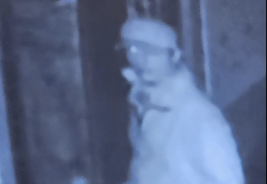 Oakland police are hoping the community will recognize this suspect in the Oakland Nature Preserve museum break-in.