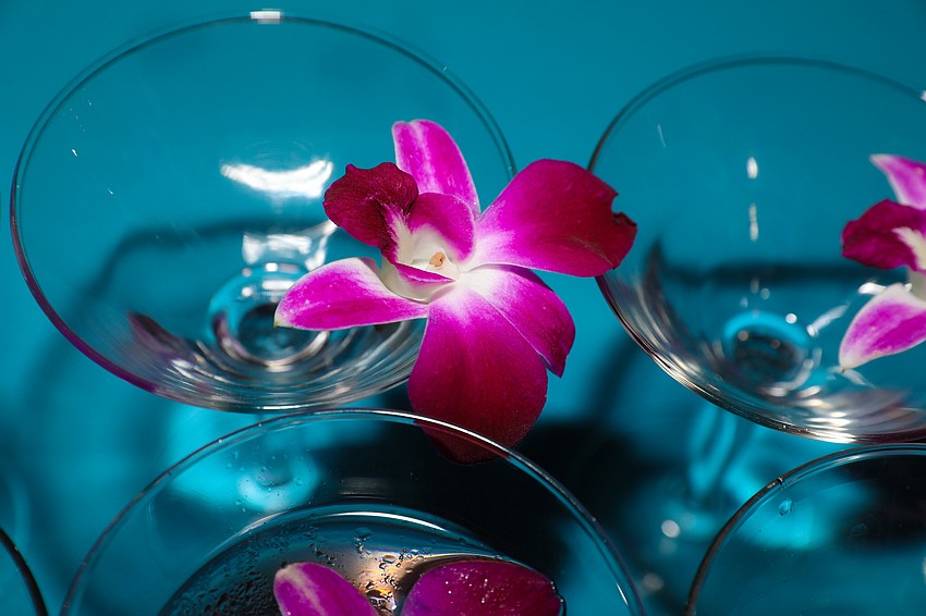 Guests were greeted with cosmopolitans decorated with edible flowers at the Blooming Friendships gala held at Selby Gardens on Feb. 29.