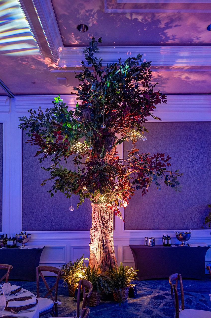 The Ritz-Carlton, Sarasota was decorated with a natural theme for ODA's Banyan Ball Extravaganza.