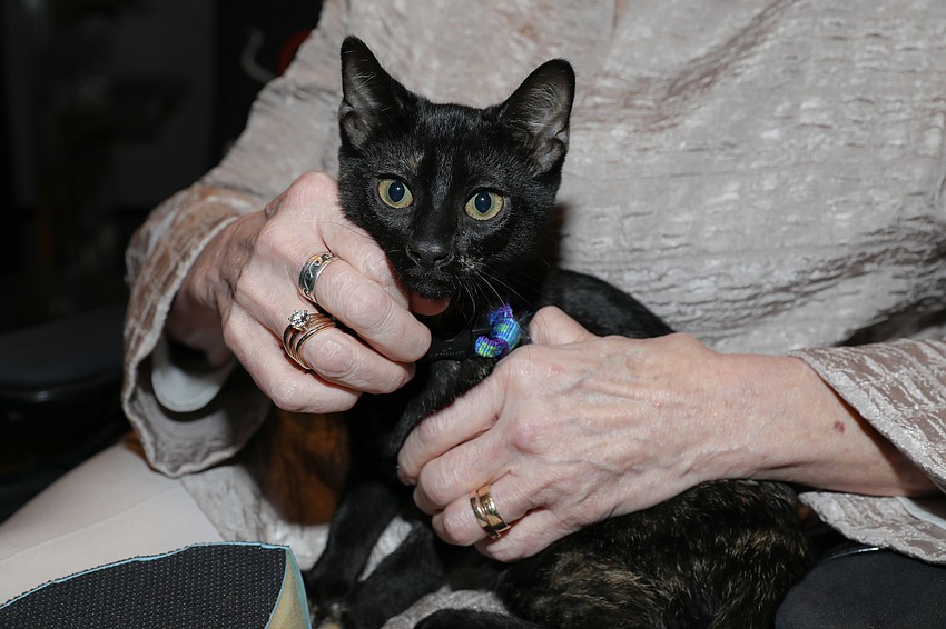 Co-founder Linda Slavin only has loving hands and heart for Noel who seeks adoption